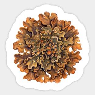 Maritime Sunburst Lichen Sticker